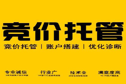 网站SEM托管服务助力企业实现业绩增长